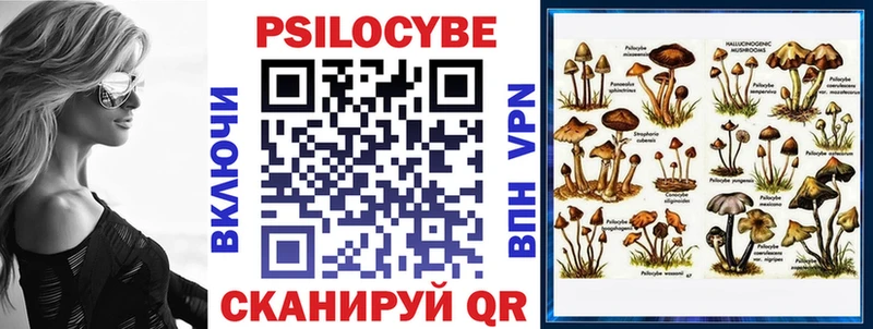 купить   Яровое  Галлюциногенные грибы Magic Shrooms 
